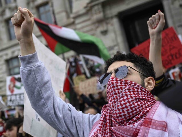 Palestinian rally (Celal Gunes/Anadolu via Getty)