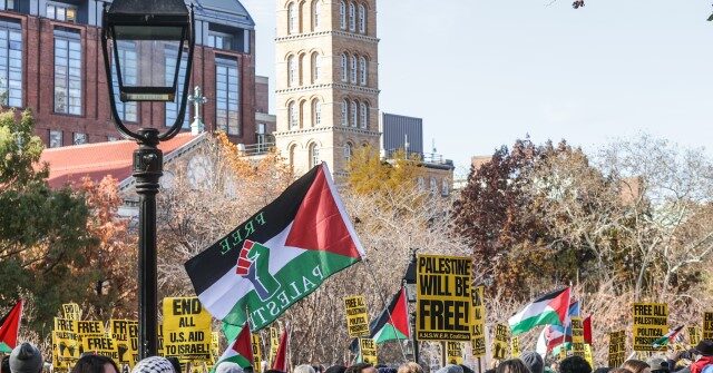 Pro-Palestinian-Demonstrators-in-NY-640x