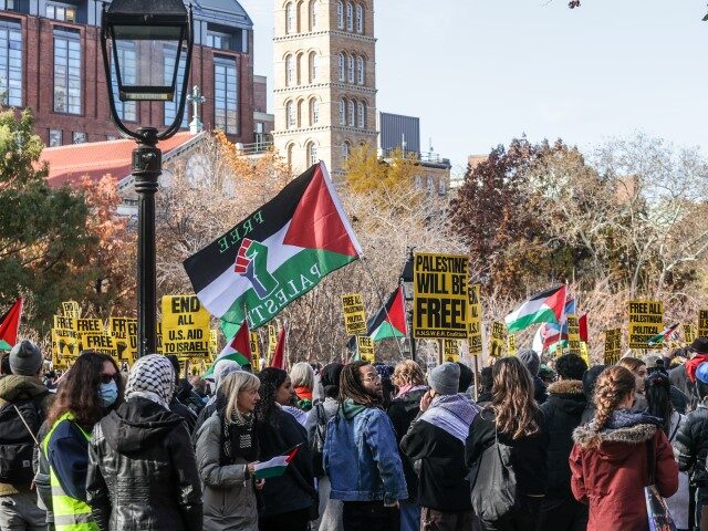 Thousands of Pro-Palestinian demonstrators hold banners and Palestinian flags as they take
