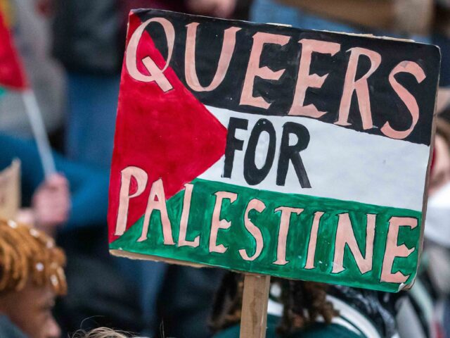 Queers for Palestine (Mark Kerrison / Getty)