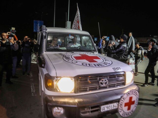 RAFAH, GAZA - NOVEMBER 26: International Red Cross vehicles, carrying Israeli hostages rel