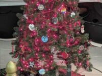 GOP Rep. Gallagher: Satanic Christmas Tree Like ‘Waving a Hamas Flag Inside of a Synagogue’