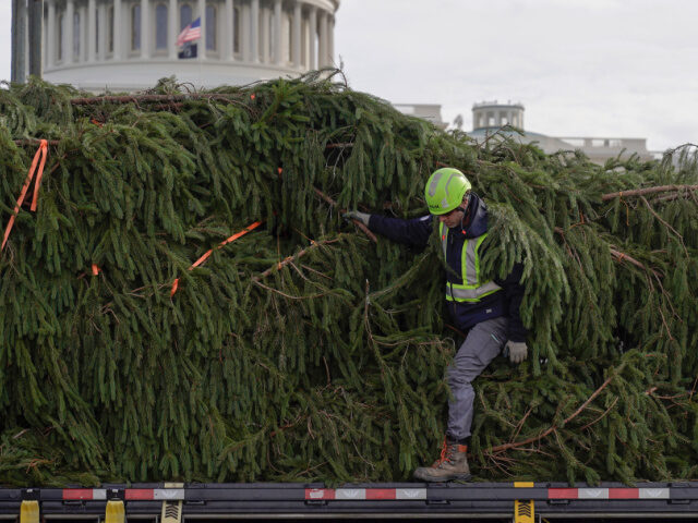 The U.S. Capitol Christmas Tree, a 63-foot Norway spruce, arrives from the Monongahela Nat