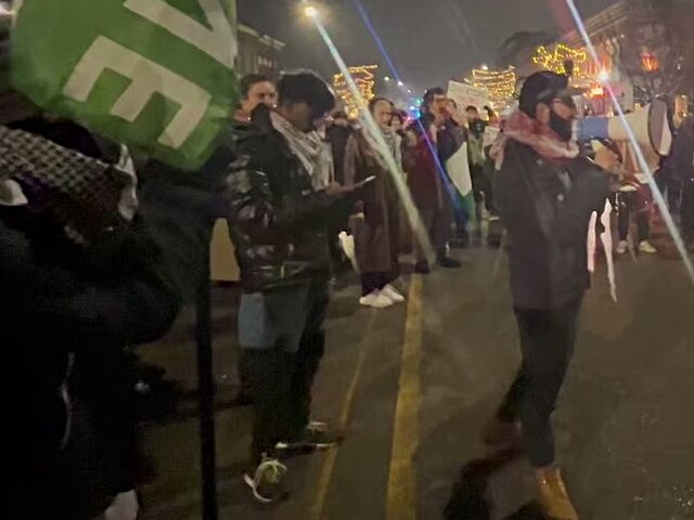 A cadre of pro-Palestinian protesters disrupted a Christmas tree lighting in Ypsilanti, Mi