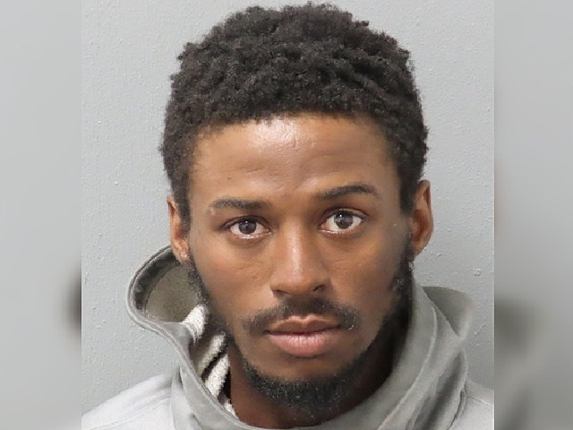 Video Shows St. Louis Man Allegedly Try to Steal Baby Out of Mom's Arms - Vimarsana News