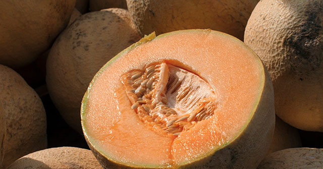 CDC: 2 Dead, 45 Hospitalized After Salmonella Outbreak from Recalled Cantaloupes