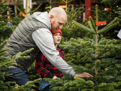 A father and daughter shop for a Christmas tree at a winter Christmas market (Stock photo via Getty).