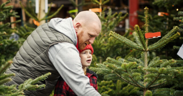 Bidenflation: Christmas Tree Costs Soar as Consumers Budget for Holidays
