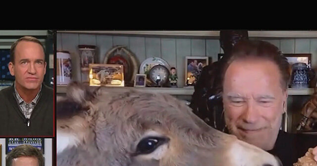 WATCH: Peyton Manning Stunned by Arnold Schwarzenegger Feeding His Donkey During Live Interview