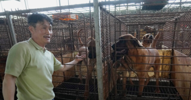 'It Is Time': South Korea Plans to Ban Eating Dog Meat amid Criticism