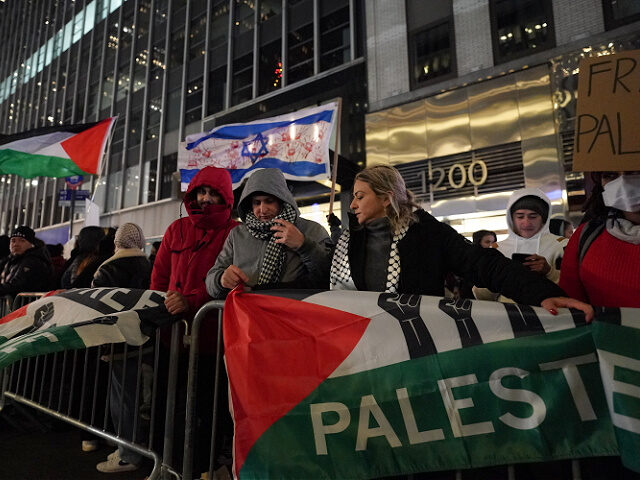 NEW YORK, NEW YORK - NOVEMBER 29: Pro-Palestine supporters gather for a rally at the Rocke