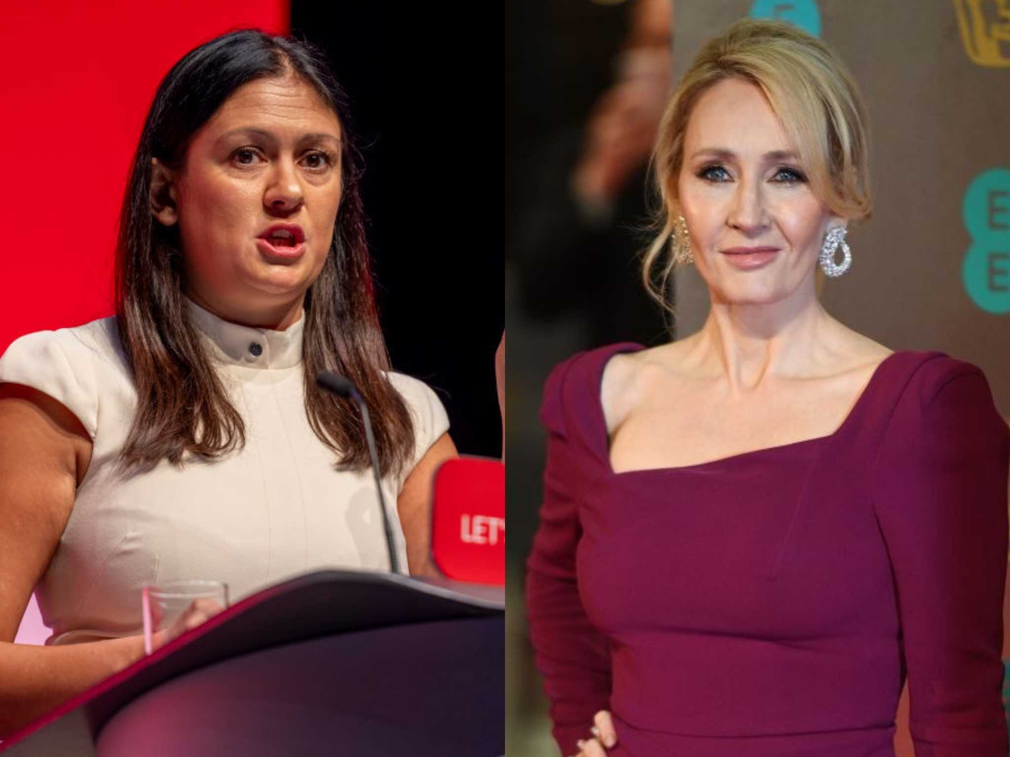 Trans Critics Will be 'Utterly Ashamed' in Future, Warns Labour MP - Vimarsana News