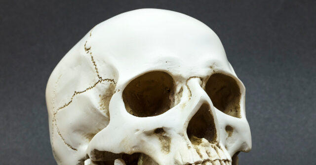 Police: Human Skull Found in Florida Thrift Shop's Halloween Display