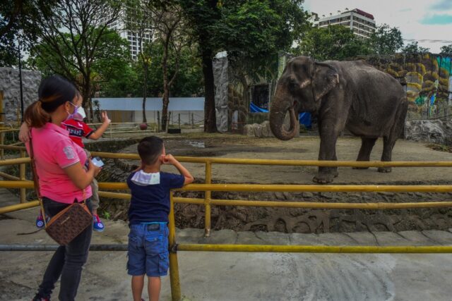 Before her death on Tuesday, the approximately 43-year-old elephant won the support of Cat