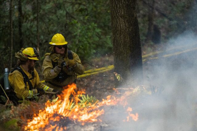 Firefighters with California State Parks monitor a prescribed burn at Wilder Ranch State P