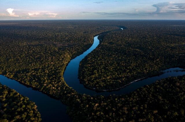 A new study finds forests could absorb vastly more carbon with better protection