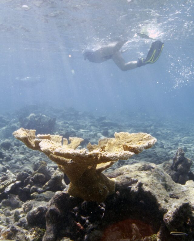 The Associated Press