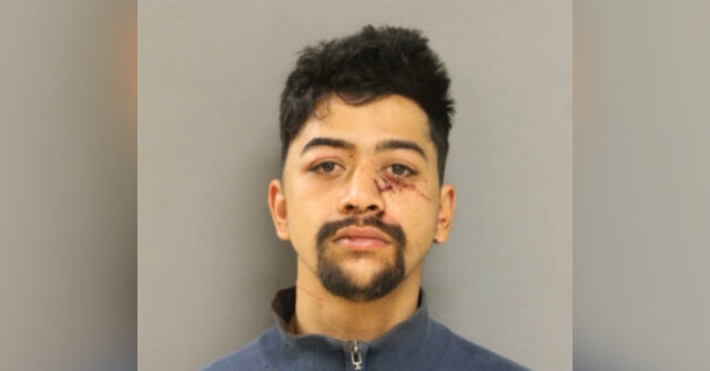 Chicago Judge Releases Man Accused of Attacking 79-Year-Old Woman