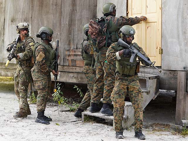 Soldiers from a multinational force perform assault maneuvers while participating in joint