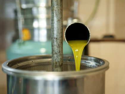 Freshly pressed olive oil at a processing facility in the village of Olynthos, Halkidiki,