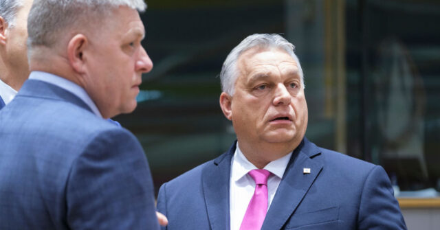 Orban Says he Can Still Block Ukraine EU Membership