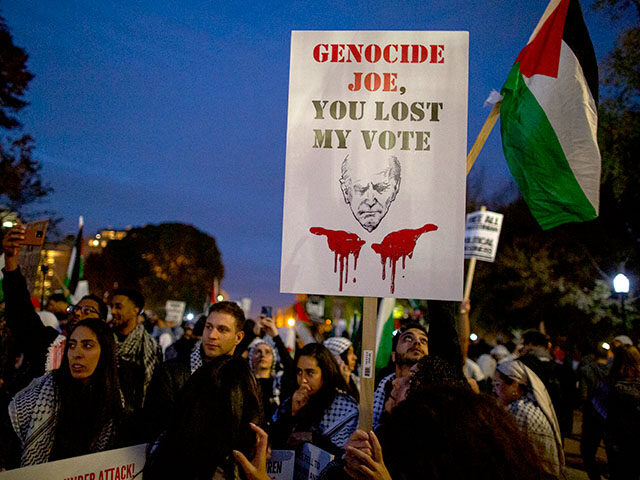 A demonstrator holding a sign with Genocide Joe, You Lost My Vote written on it, gathers i