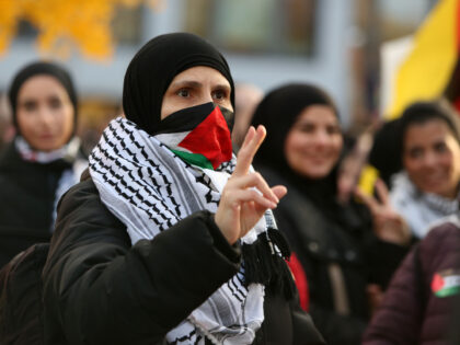 BERLIN, GERMANY - NOVEMBER 18: Protesters attend a demonstration in support of Palestine a