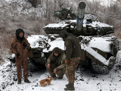Ukrainian soldiers play with a dog next to a tank, on positions near to the town of Bakhmu