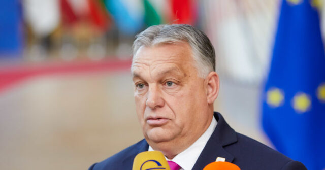 NextImg:'No Exceptions!': Orban Rejects Ukraine Membership Rush at EU Summit