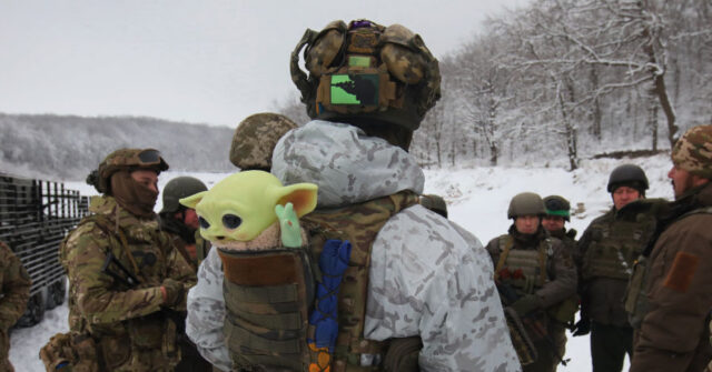 Ukraine 'Scales Back' Military Operations, Blames Lack of Foreign Aid