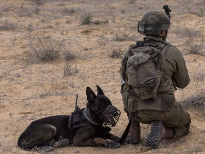 IDF canine (Menahem Kahna / AFP via Getty)