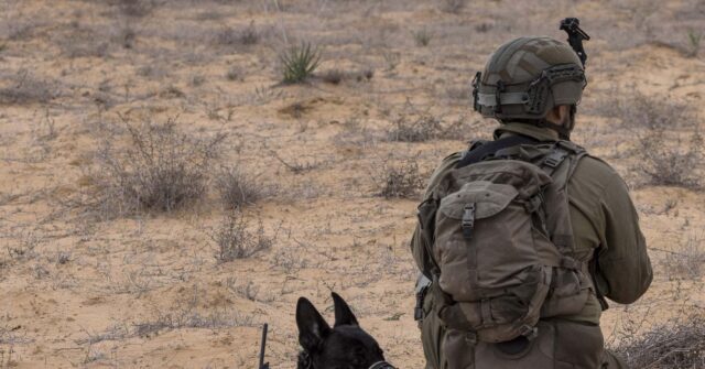 IDF Dog Reached Hostages but Was Shot by Hamas; Audio Only Found Later