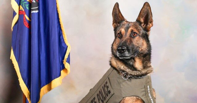 PHOTOS: PA K-9s Receive Donated Bullet and Stab-Protective Vests