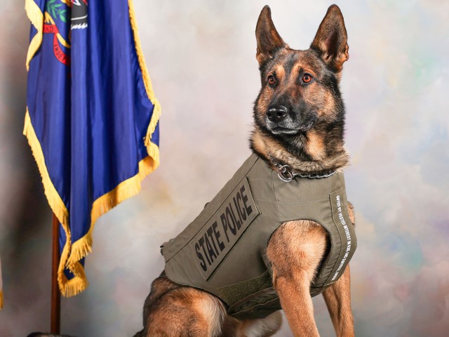 PHOTOS: PA K-9s Receive Donated Bullet and Stab-Protective Vests - Vimarsana News