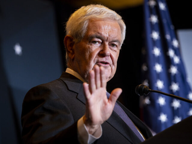 Newt Gingrich, former speaker of the US House of Representatives, speaks during the Americ