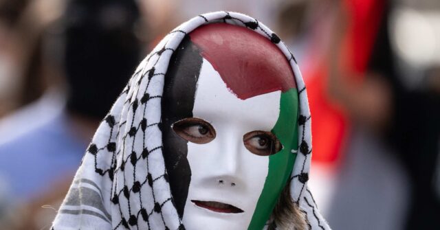 Pro-Palestinian Protesters Block LAX Access: 'Ceasefire is Not Enough'