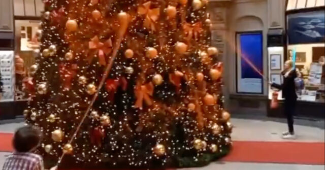 Climate Crazies Attack Christmas Trees in Seven Cities in Germany