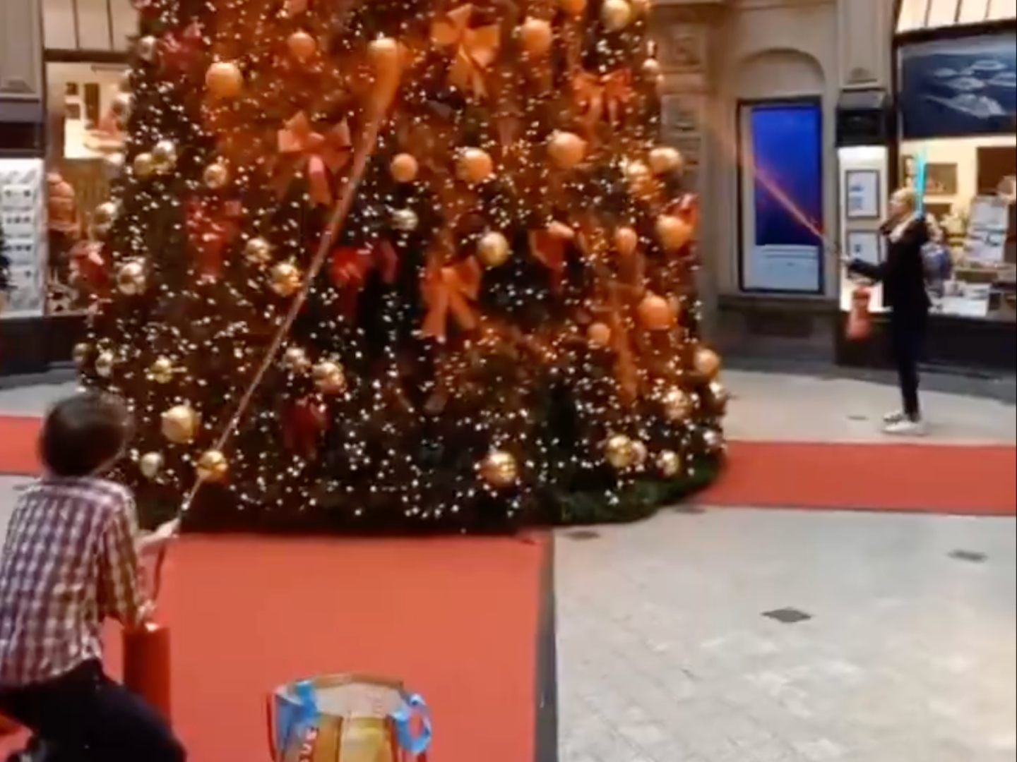 Climate Crazies Attack Christmas Trees in Seven Cities in Germany - Vimarsana News