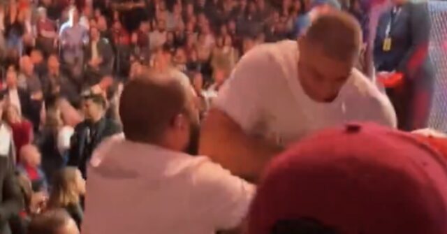 WATCH: Sean Strickland, Dricus Du Plessis Brawl in the Stands at UFC 296