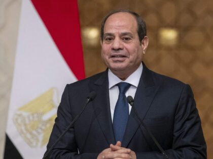 Egypt's president Abdul Fatah El-Sisi talks to the press after a meeting at the Palace in