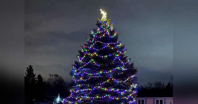 PHOTOS: Ohioans Decorate Man's Christmas Tree He Planted Years Ago