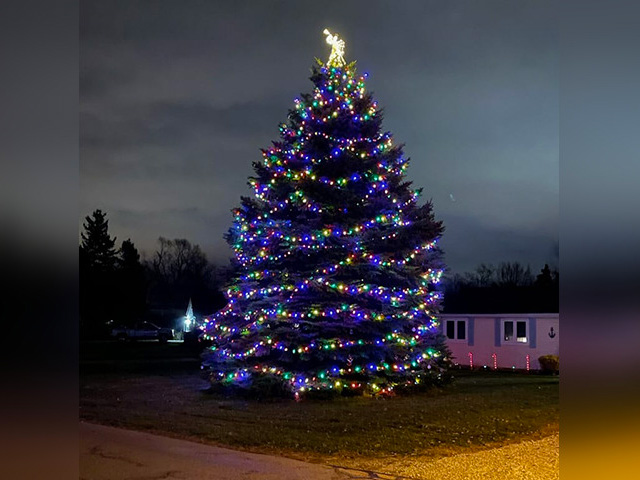 PHOTOS: Ohioans Decorate Man's Christmas Tree He Planted Years Ago - Vimarsana News