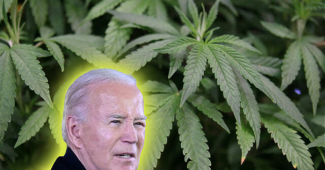 Biden Admin to Loosen Marijuana Laws, Some Advocates Say It's Nothing