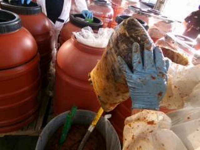 Border Patrol Seizes $10 Million Worth of Meth, Cocaine in San Diego - Vimarsana News
