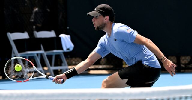 Crikey! Deadly Snake Stops Play at Australian Tennis Event