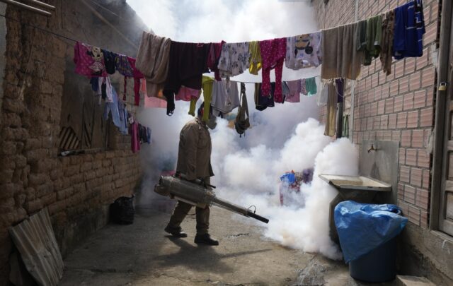 WHO Dengue The Associated Press