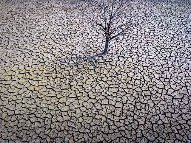 World Economic Forum: Extreme Weather and Disinformation Biggest 2024 Global Risks - Vimarsana News