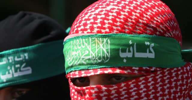 WATCH: 'Pro-Palestinian' Protesters Wave Flag Celebrating Hamas Spokesman -- in Chicago
