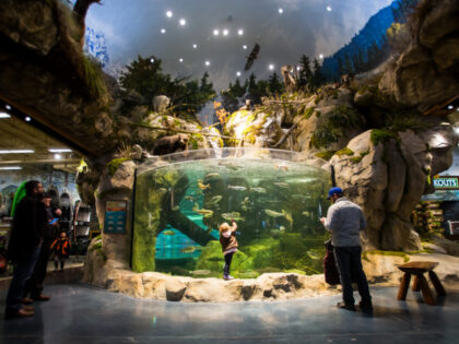 Shoppers view the aquarium display at Bass Pro Shops inside the Tsawwassen Mills mall in T