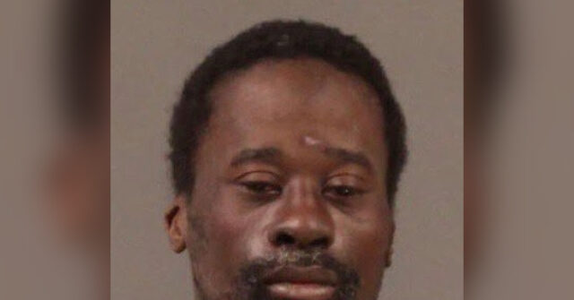 Police: Homeless Man Knocked Philadelphia Train Passenger to His Death